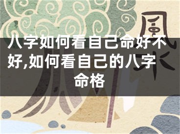 八字如何看自己命好不好,如何看自己的八字命格