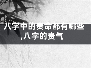 八字中的贵命都有哪些,八字的贵气