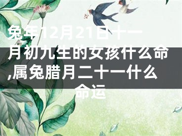 兔年12月21日十一月初九生的女孩什么命,属兔腊月二十一什么命运