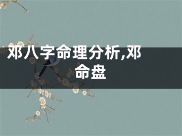 邓八字命理分析,邓 命盘