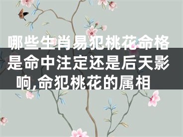 哪些生肖易犯桃花命格是命中注定还是后天影响,命犯桃花的属相