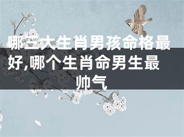 哪三大生肖男孩命格最好,哪个生肖命男生最帅气