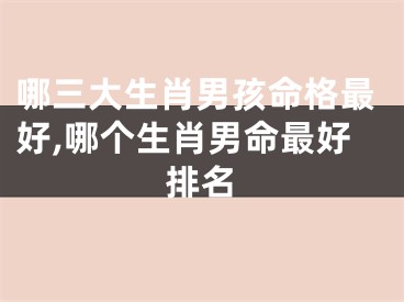 哪三大生肖男孩命格最好,哪个生肖男命最好排名