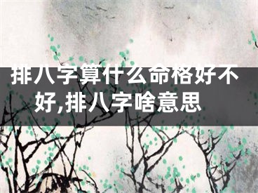 排八字算什么命格好不好,排八字啥意思