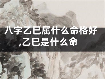 八字乙巳属什么命格好,乙巳是什么命