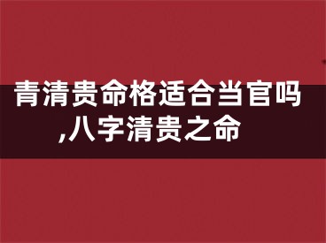 青清贵命格适合当官吗,八字清贵之命