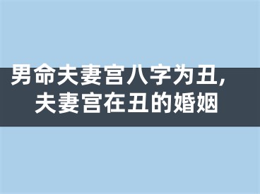 男命夫妻宫八字为丑,夫妻宫在丑的婚姻
