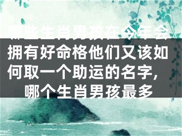 哪些生肖男孩在今年会拥有好命格他们又该如何取一个助运的名字,哪个生肖男孩最多