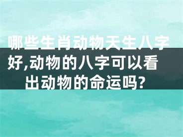 哪些生肖动物天生八字好,动物的八字可以看出动物的命运吗?