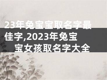 23年兔宝宝取名字最佳字,2023年兔宝宝女孩取名字大全