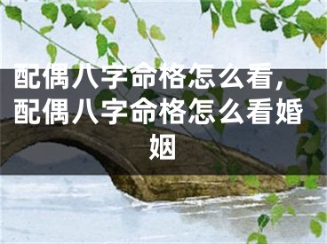 配偶八字命格怎么看,配偶八字命格怎么看婚姻