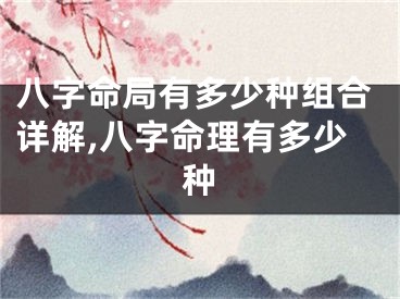 八字命局有多少种组合详解,八字命理有多少种