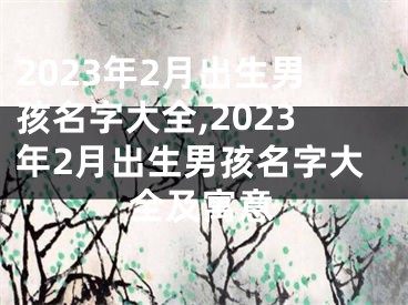2023年2月出生男孩名字大全,2023年2月出生男孩名字大全及寓意