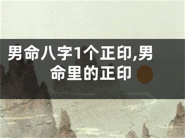 男命八字1个正印,男命里的正印