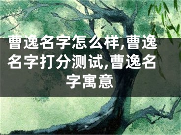 曹逸名字怎么样,曹逸名字打分测试,曹逸名字寓意