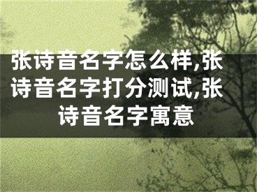 张诗音名字怎么样,张诗音名字打分测试,张诗音名字寓意