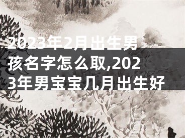 2023年2月出生男孩名字怎么取,2023年男宝宝几月出生好