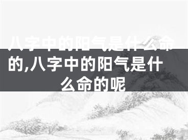 八字中的阳气是什么命的,八字中的阳气是什么命的呢