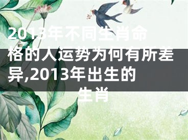 2013年不同生肖命格的人运势为何有所差异,2013年出生的生肖