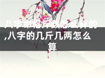 八字命格斤数怎么算的,八字的几斤几两怎么算