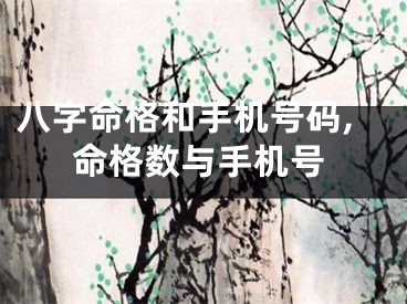 八字命格和手机号码,命格数与手机号
