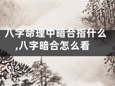 八字命理中暗合指什么,八字暗合怎么看