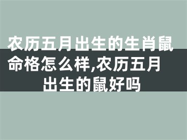 农历五月出生的生肖鼠命格怎么样,农历五月出生的鼠好吗