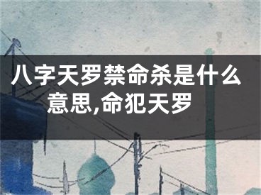 八字天罗禁命杀是什么意思,命犯天罗