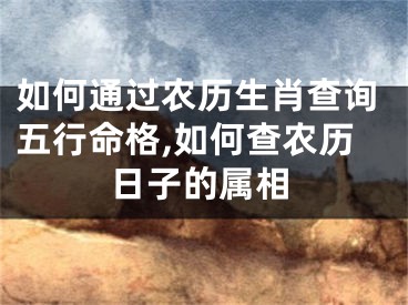 如何通过农历生肖查询五行命格,如何查农历日子的属相