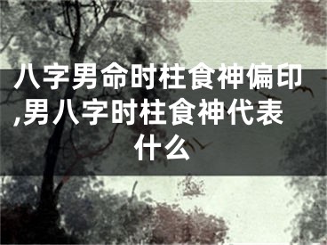 八字男命时柱食神偏印,男八字时柱食神代表什么