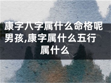 康字八字属什么命格呢男孩,康字属什么五行属什么