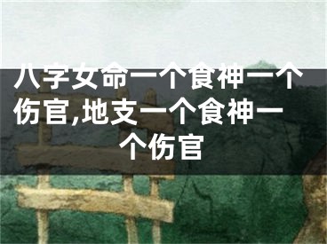 八字女命一个食神一个伤官,地支一个食神一个伤官