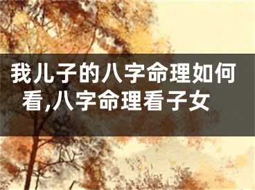 我儿子的八字命理如何看,八字命理看子女