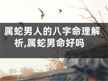 属蛇男人的八字命理解析,属蛇男命好吗