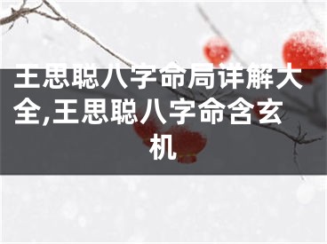 王思聪八字命局详解大全,王思聪八字命含玄机
