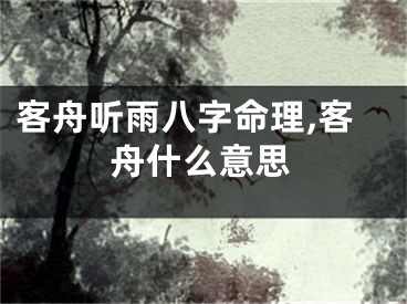 客舟听雨八字命理,客舟什么意思