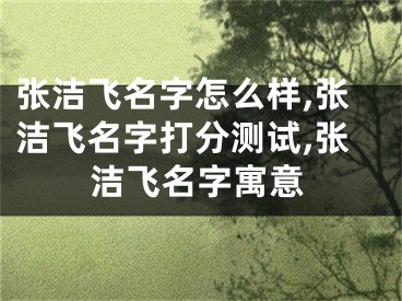 张洁飞名字怎么样,张洁飞名字打分测试,张洁飞名字寓意