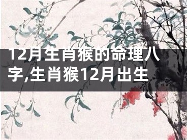 12月生肖猴的命理八字,生肖猴12月出生