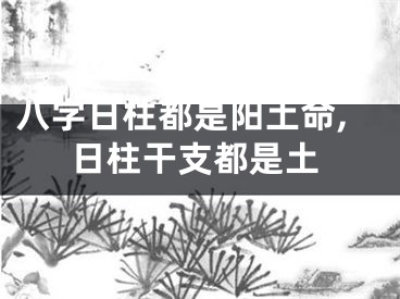 八字日柱都是阳土命,日柱干支都是土