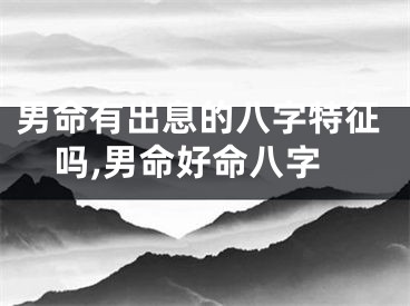 男命有出息的八字特征吗,男命好命八字
