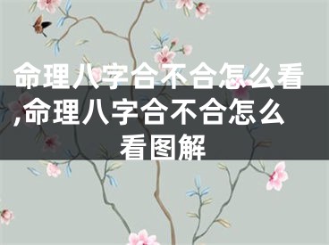 命理八字合不合怎么看,命理八字合不合怎么看图解