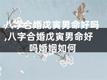 八字合婚戊寅男命好吗,八字合婚戊寅男命好吗婚姻如何