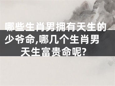 哪些生肖男拥有天生的少爷命,哪几个生肖男天生富贵命呢?