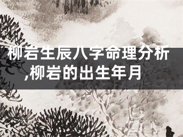 柳岩生辰八字命理分析,柳岩的出生年月