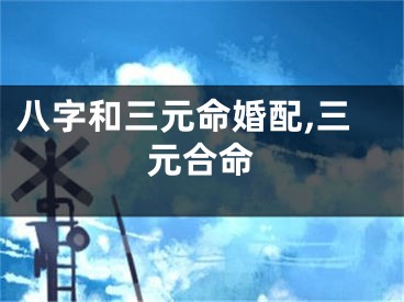 八字和三元命婚配,三元合命