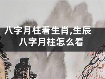八字月柱看生肖,生辰八字月柱怎么看