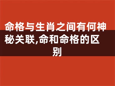 命格与生肖之间有何神秘关联,命和命格的区别