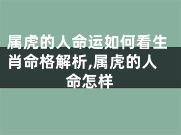 属虎的人命运如何看生肖命格解析,属虎的人命怎样