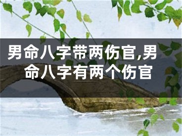 男命八字带两伤官,男命八字有两个伤官