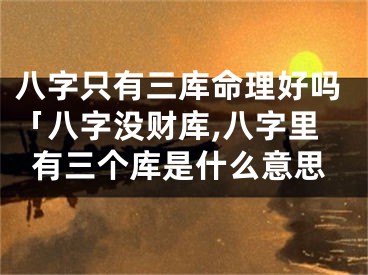 八字只有三库命理好吗「八字没财库,八字里有三个库是什么意思